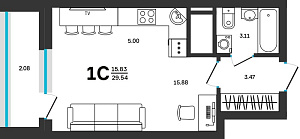 1 комнатная 29.54 м²